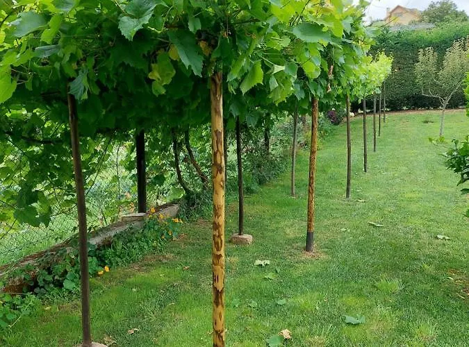 別荘 Caseton Do Forno. ロウレンサー